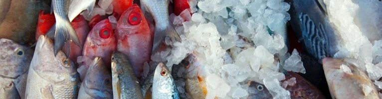 Россия ограничивает импорт рыбы из Японии из-за слива радиоактивной воды