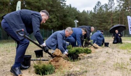 1ac5aa06127a0149233b8_1200.jpg