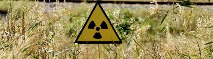Ученые изменят тактику борьбы с последствиями Чернобыля