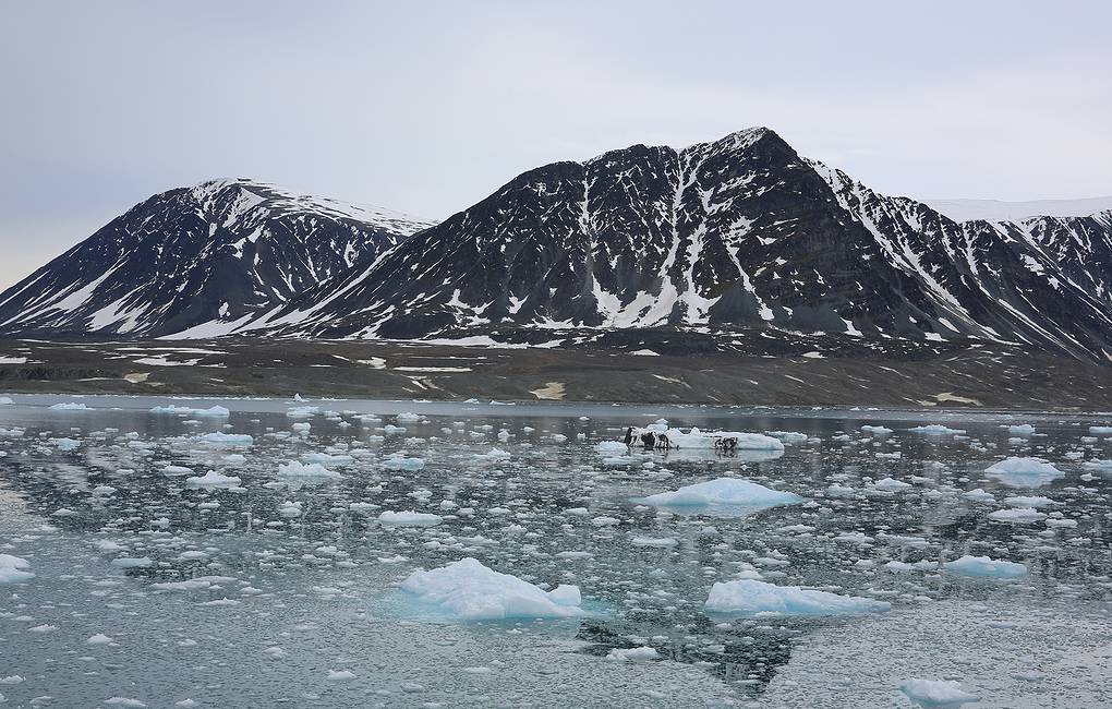 Ученые изучили места затопления радиоактивных объектов в Арктике