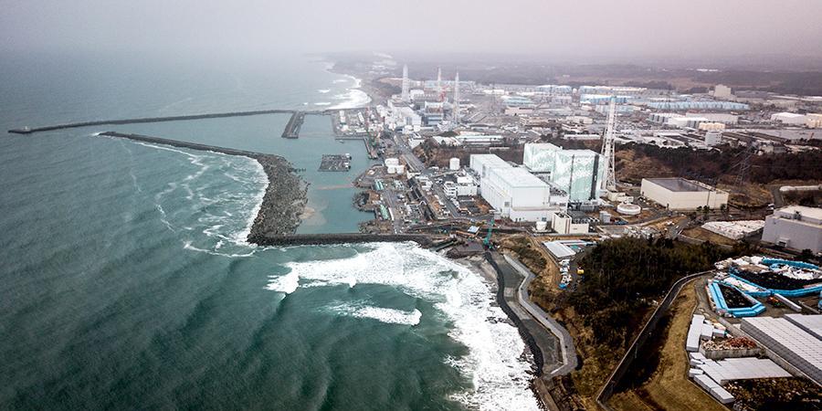 Как радиация с АЭС «Фукусима» попадет в пищу россиян