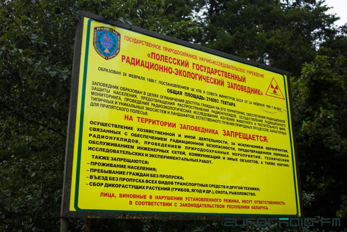 Как продают чернобыльский лес – или радиоактивные отходы?