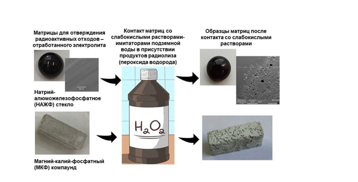 Внешний вид материалов с отвержденными РАО до и после их контакта со слабокислыми растворами, содержащими пероксид водорода.