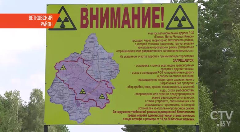Эхо чернобыльской аварии: грибы из категории «радиоактивные отходы»