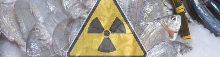 Эксперт: МАГАТЭ «отбеливает» проблему сброса в океан радиоактивной воды