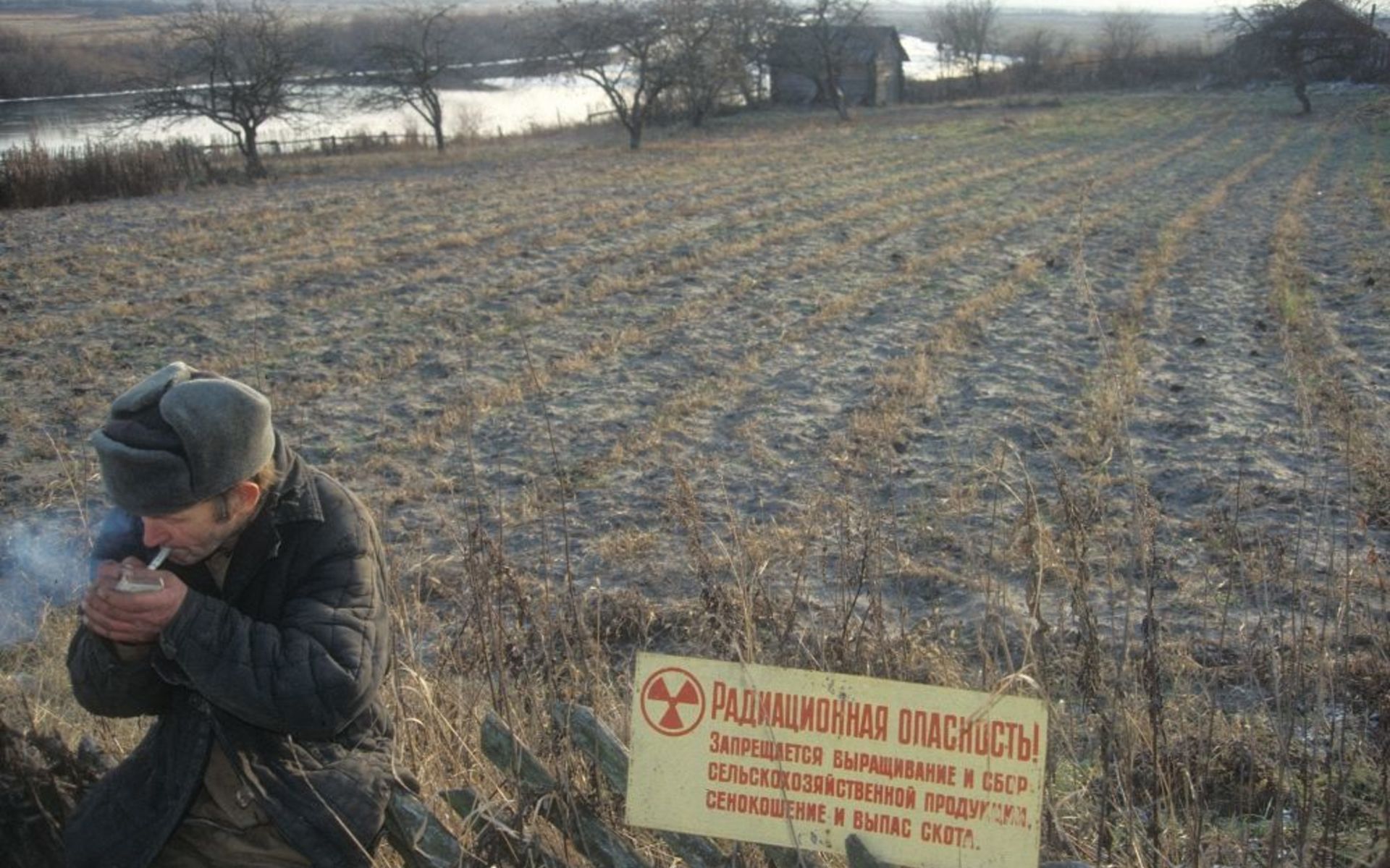 После Чернобыля: как очистить землю от радиационной заразы